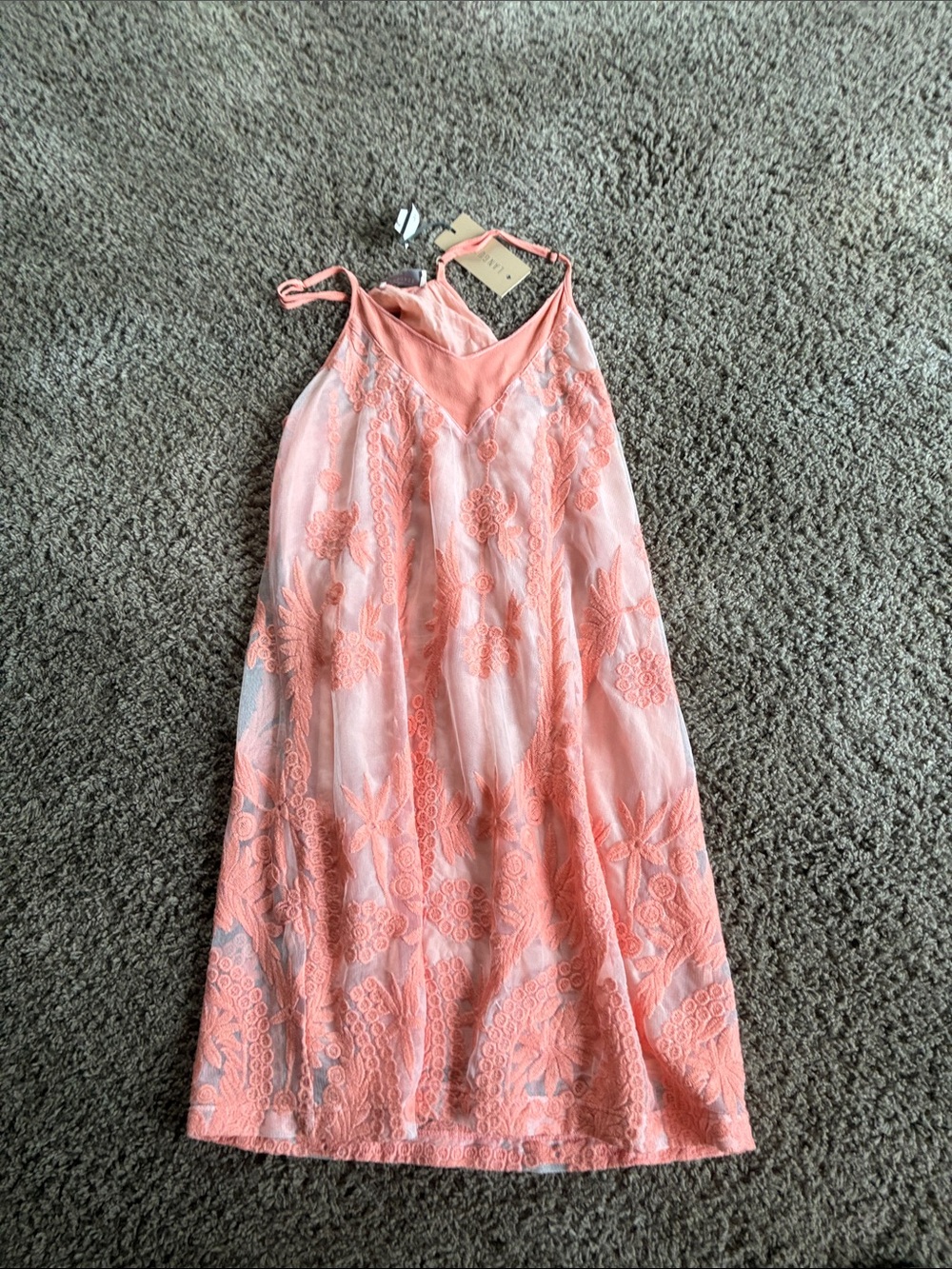 Language Coral Lace-Embroidered Mini Dress